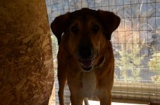Aris Cage B8 (copy)