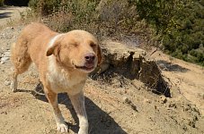 Blondy Melios oben (copy)