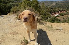Blondy Melios oben (copy)