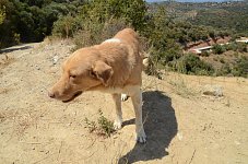 Blondy Melios oben (copy)