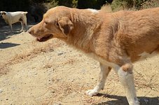 Blondy Melios oben (copy)